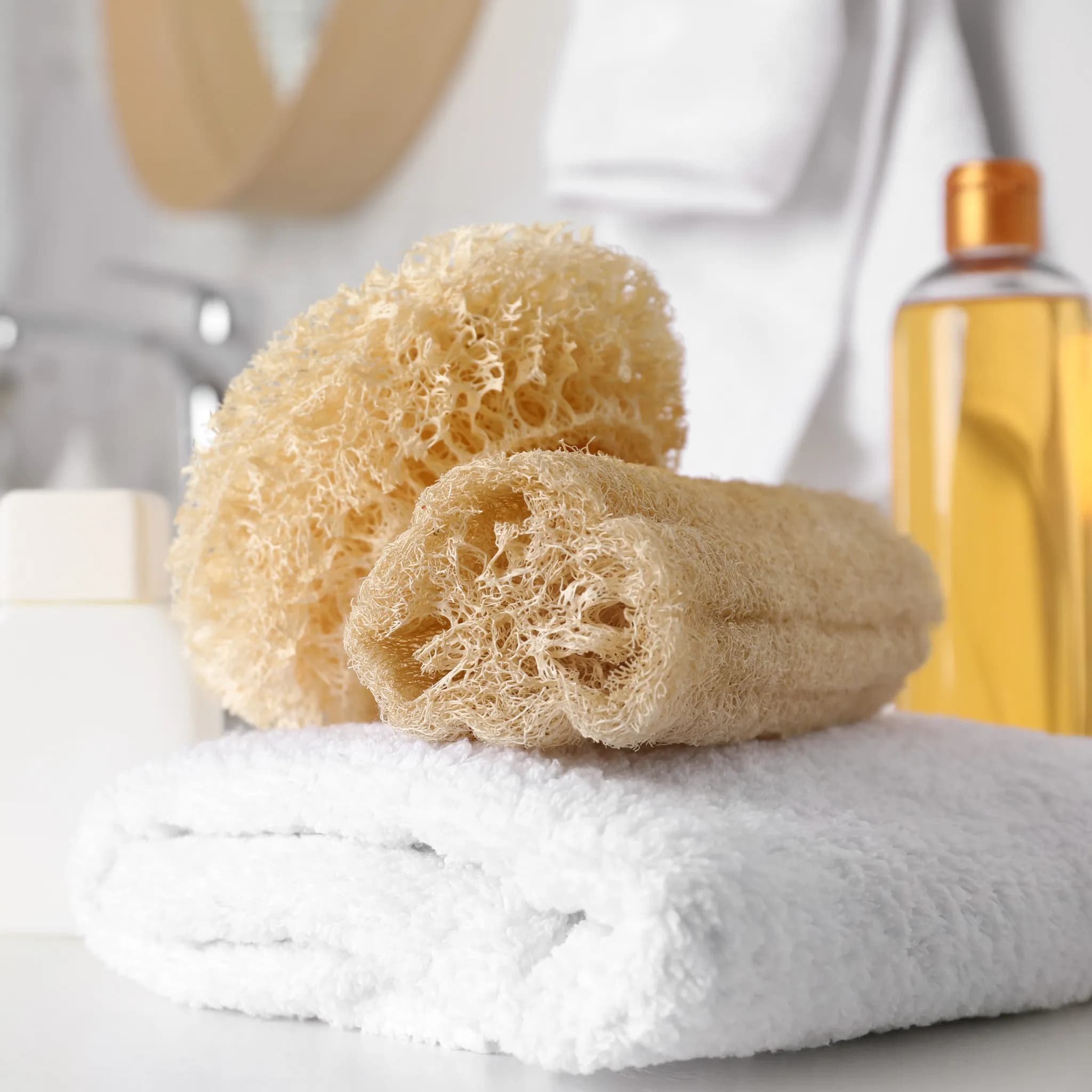 Raw Loofah Sponge Tips for Beginners