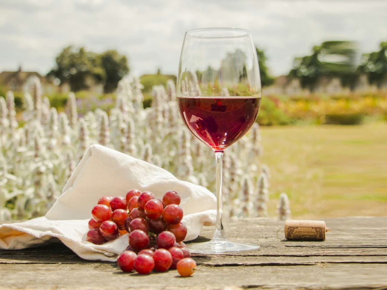 Winery Membership: The Easiest Way to Enjoy Sacramento Wines