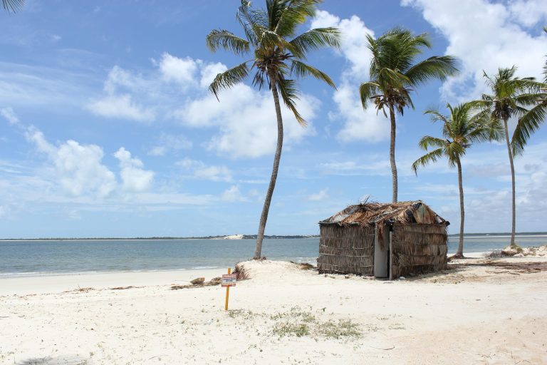 pexels-jose-adriano-de-carvalho-2148951138-30356436